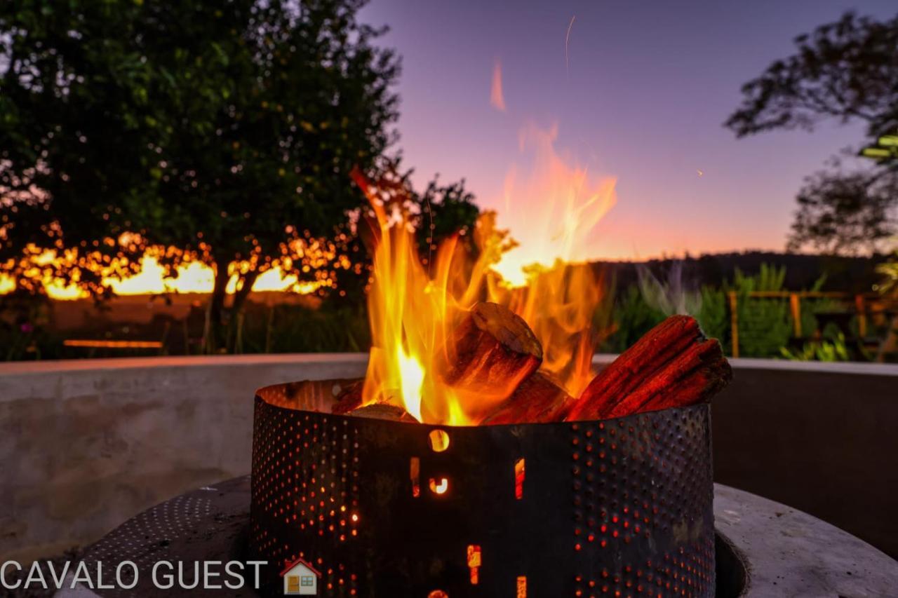 Cavalo Guesthouse & Equestrian Estate Drummond エクステリア 写真