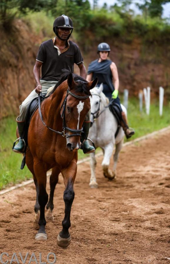 Cavalo Guesthouse & Equestrian Estate Drummond エクステリア 写真
