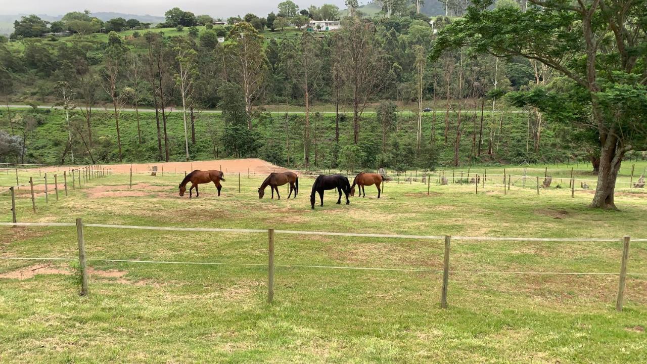 Cavalo Guesthouse & Equestrian Estate Drummond エクステリア 写真