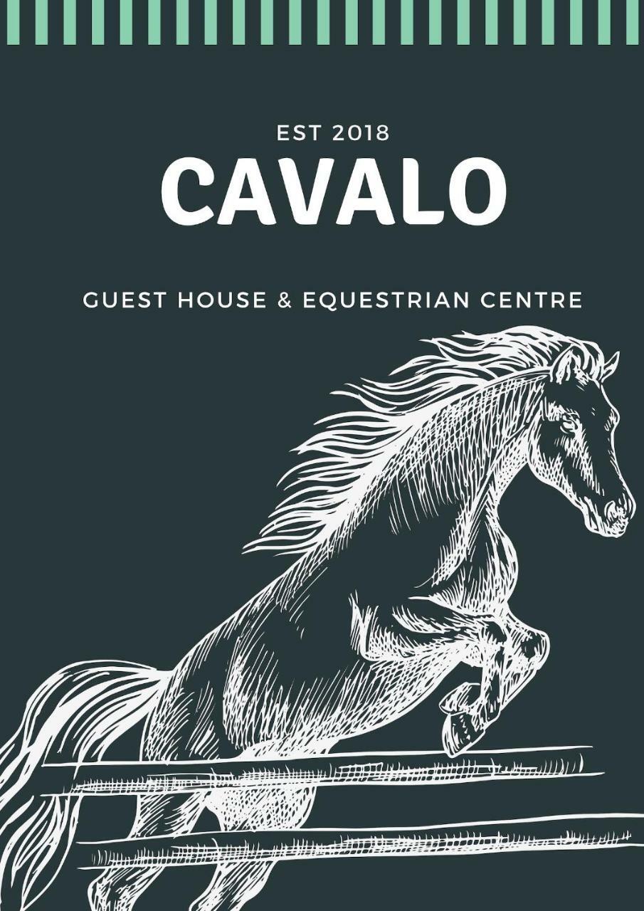 Cavalo Guesthouse & Equestrian Estate Drummond エクステリア 写真