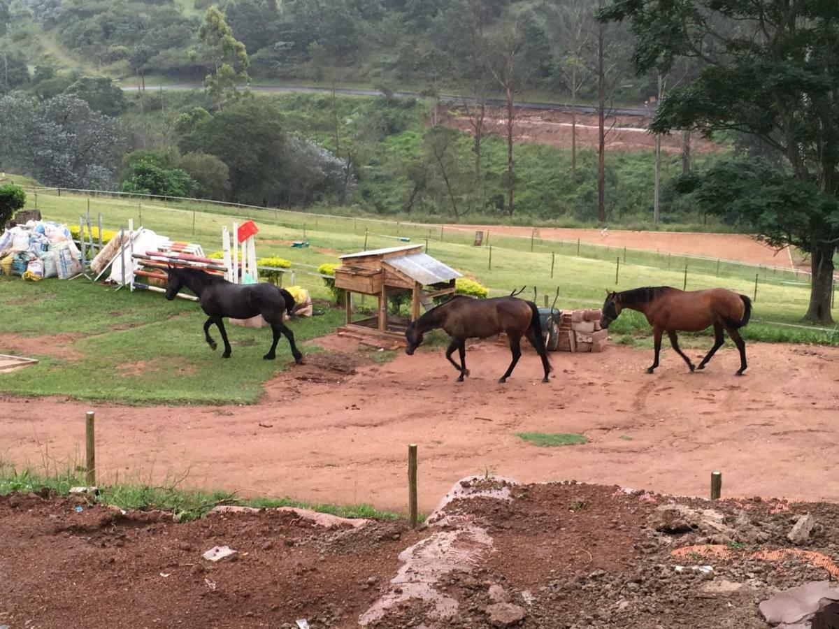 Cavalo Guesthouse & Equestrian Estate Drummond エクステリア 写真
